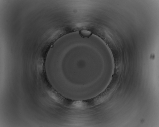 X0000102040231200808081842