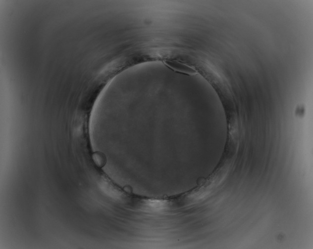 X0000102040233200808081842