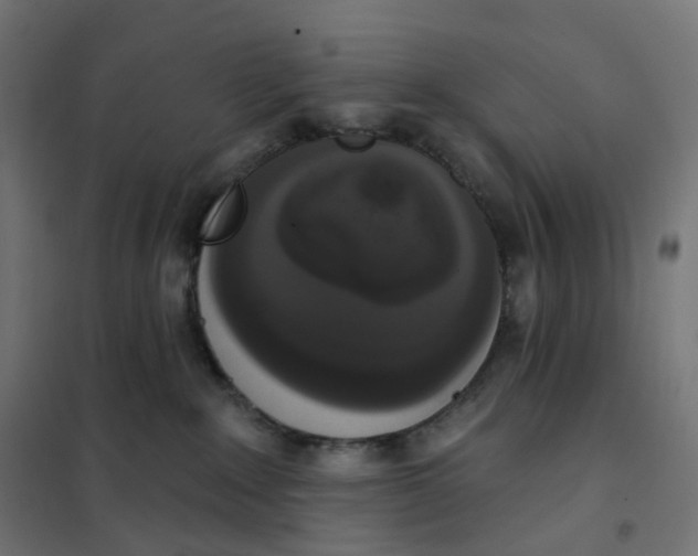 X0000102040235200808081842