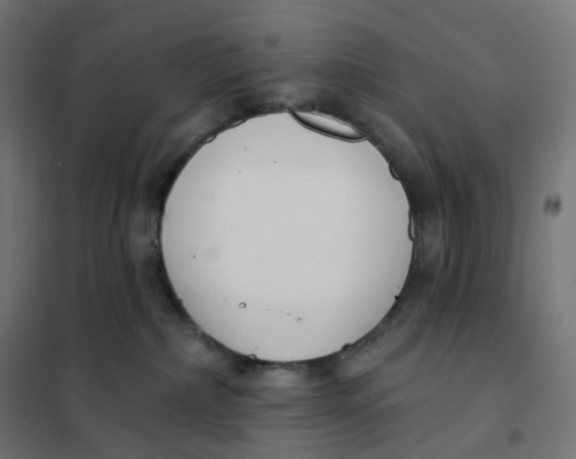 X0000102040236200808081842