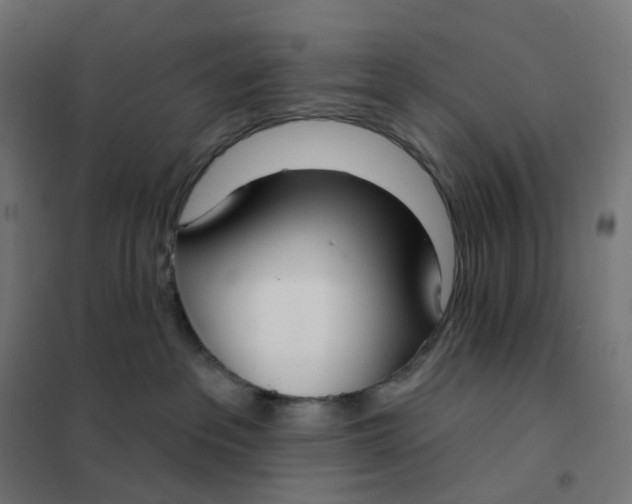 X0000102040237200808081842