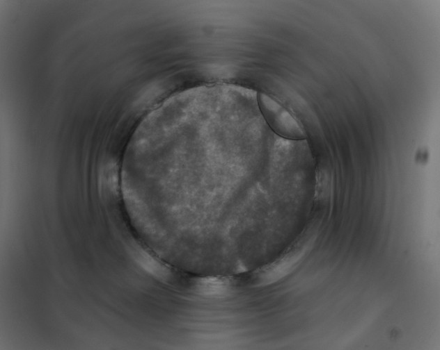 X0000102040238200808081842