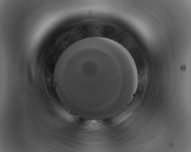 X0000102040239200808081842