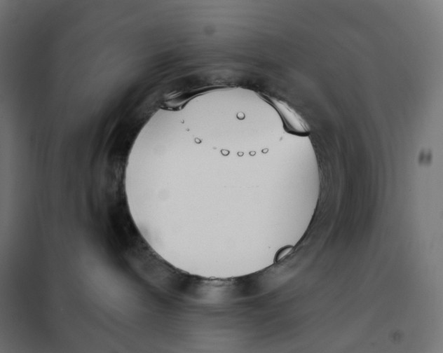 X0000102040240200808081842