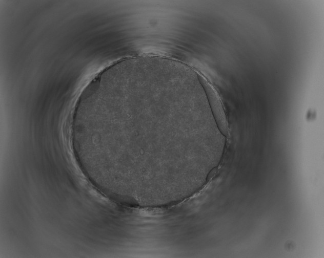 X0000102040241200808081841