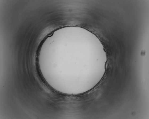 X0000102040242200808081841