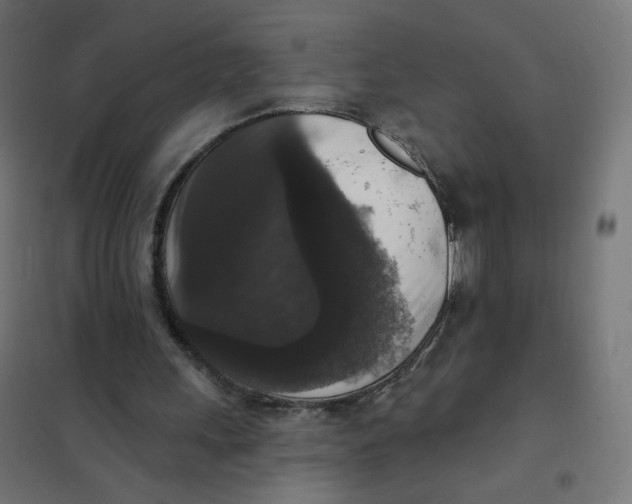 X0000102040243200808081841