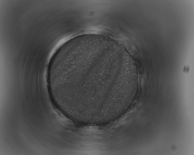 X0000102040244200808081841