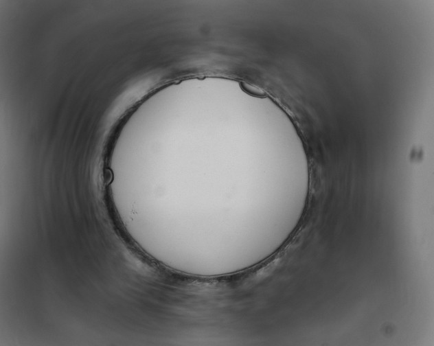 X0000102040245200808081841