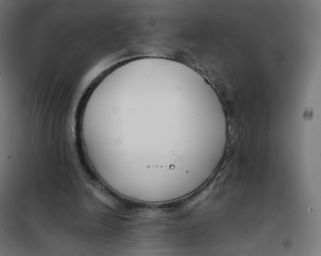 X0000102040246200808081841