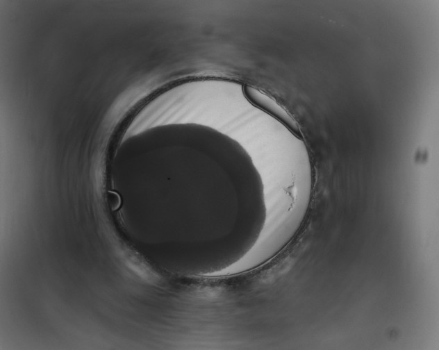 X0000102040247200808081841