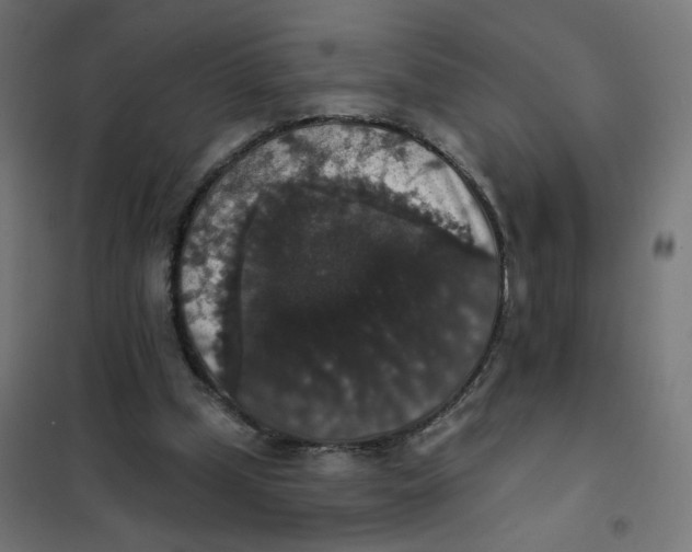 X0000102040249200808081841