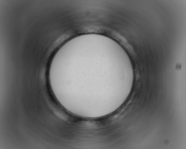 X0000102040250200808081841