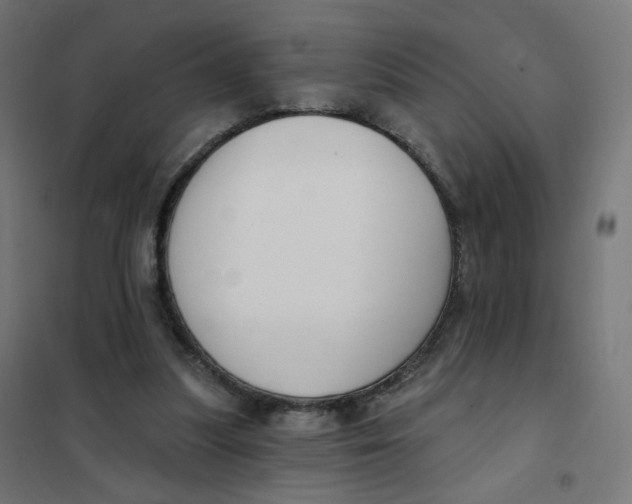 X0000102040251200808081841