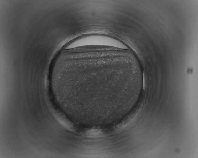 X0000102040252200808081841