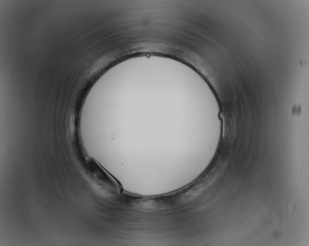 X0000102040253200808081841