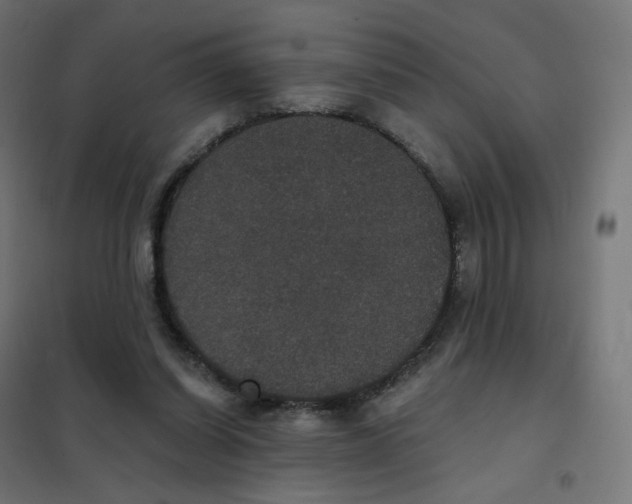 X0000102040254200808081841