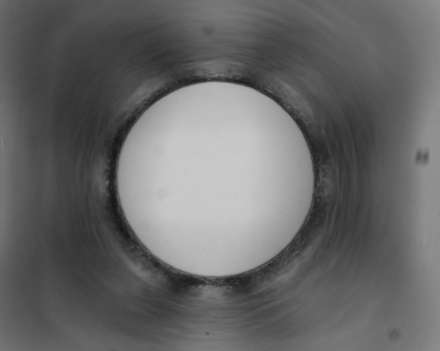 X0000102040255200808081841