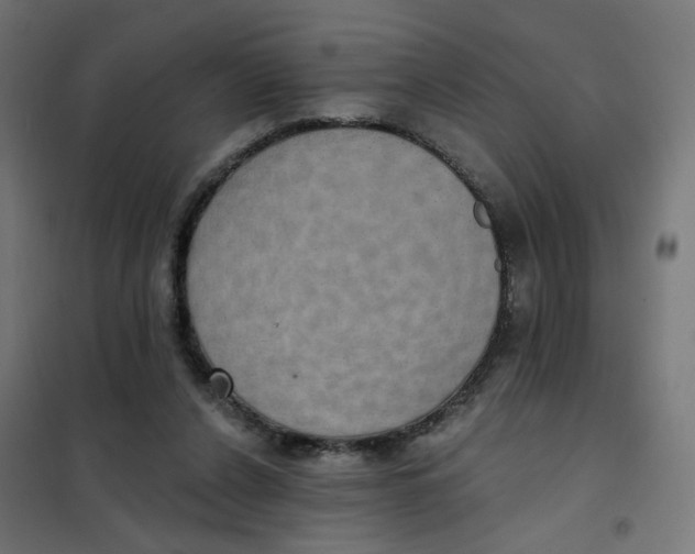 X0000102040256200808081841