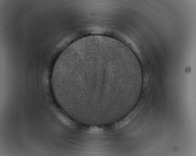 X0000102040257200808081841