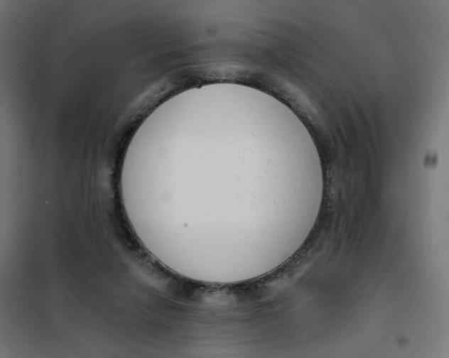 X0000102040258200808081841