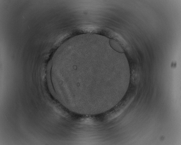 X0000102040259200808081841