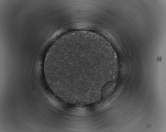 X0000102040260200808081841