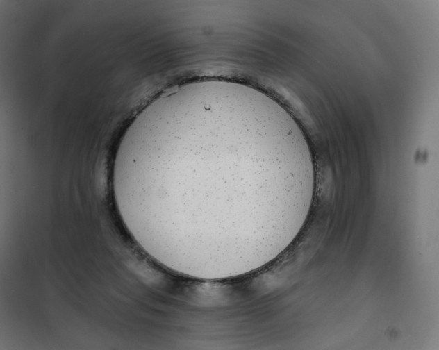 X0000102040261200808081841