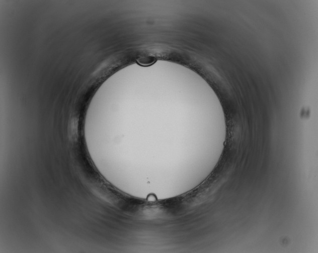 X0000102040262200808081842