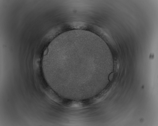 X0000102040263200808081842