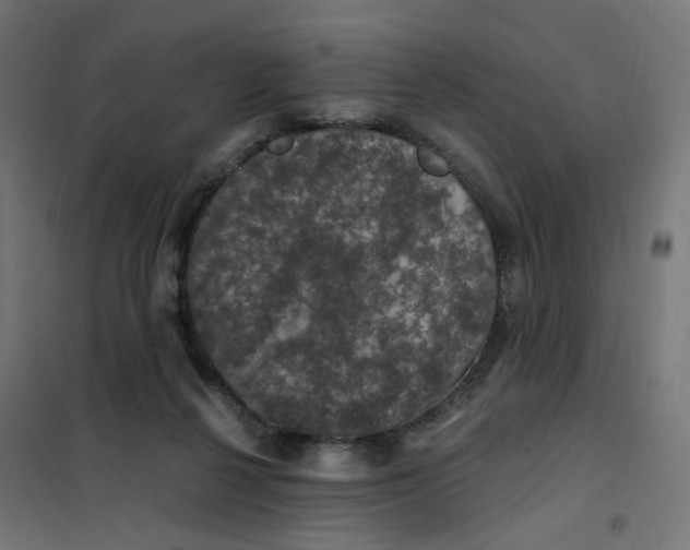 X0000102040264200808081842