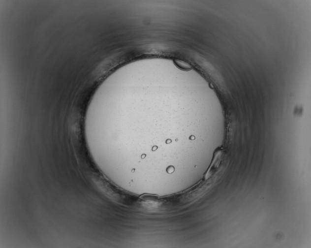 X0000102040265200808081842