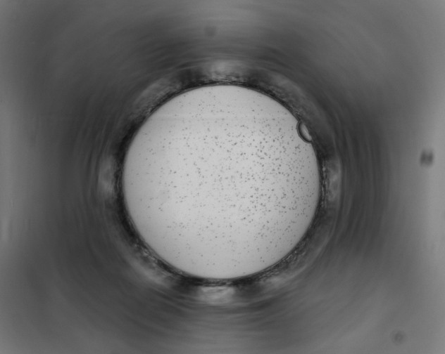 X0000102040266200808081842