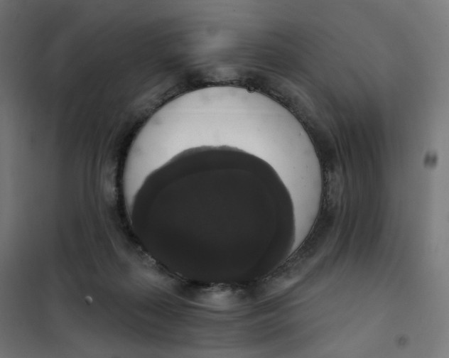 X0000102040267200808081842