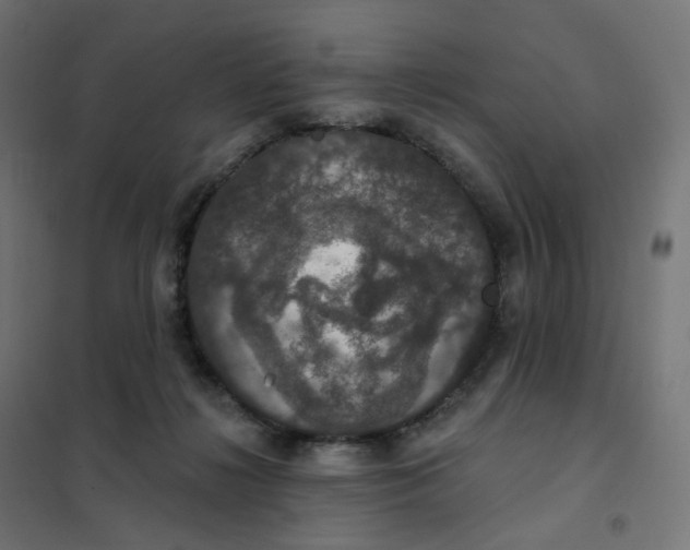 X0000102040268200808081842