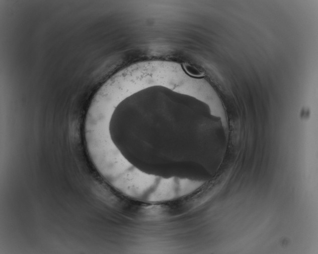 X0000102040269200808081842