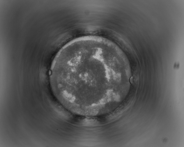 X0000102040270200808081842