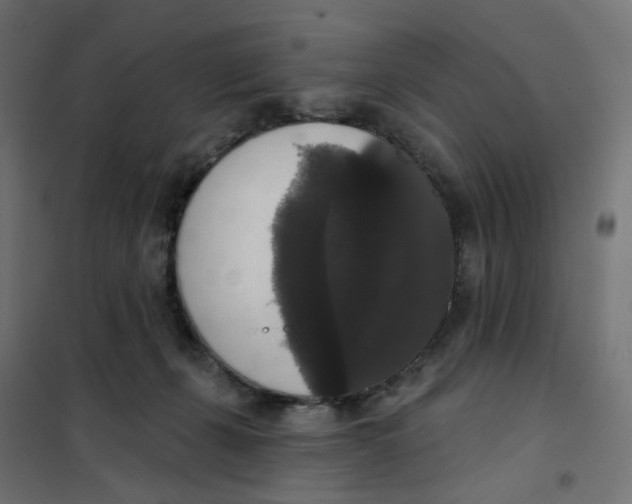 X0000102040271200808081842