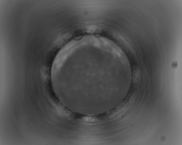 X0000102040272200808081842