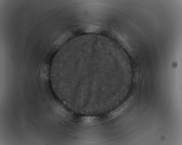 X0000102040273200808081842