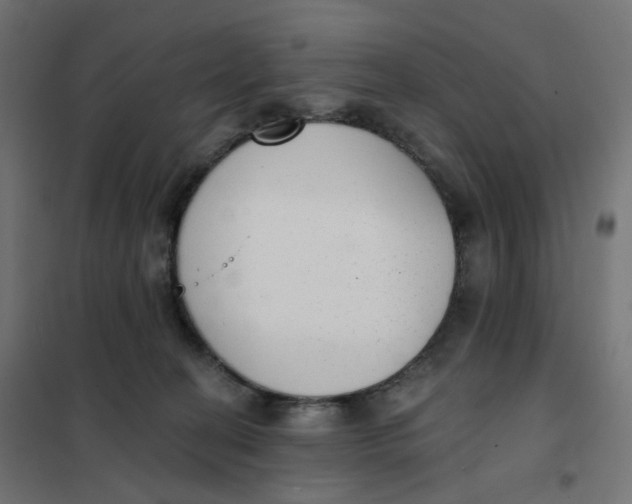 X0000102040274200808081842