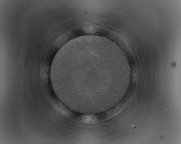 X0000102040275200808081842