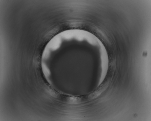 X0000102040277200808081842