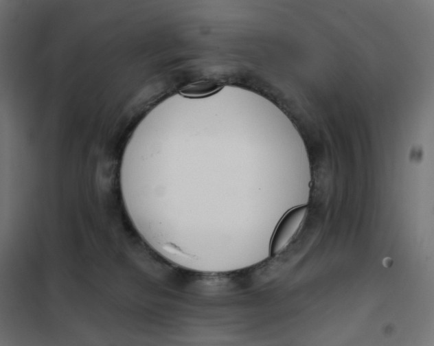 X0000102040278200808081842