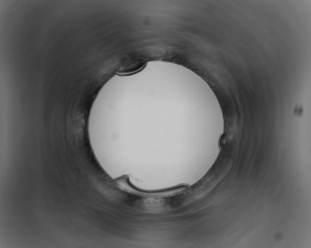 X0000102040279200808081842