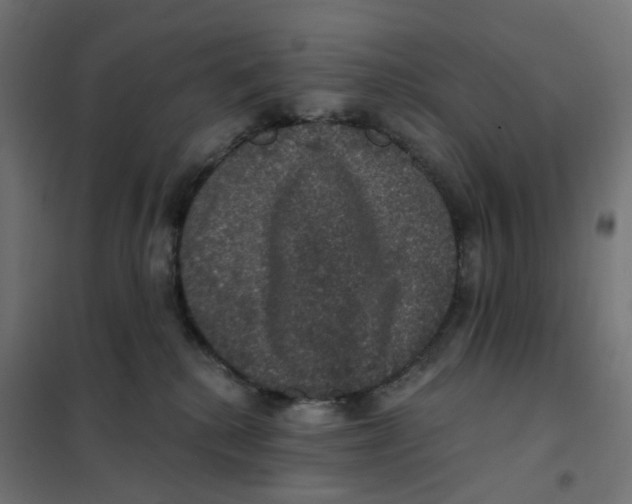 X0000102040280200808081842