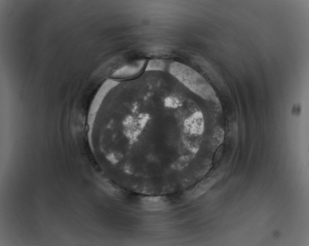 X0000102040281200808081842