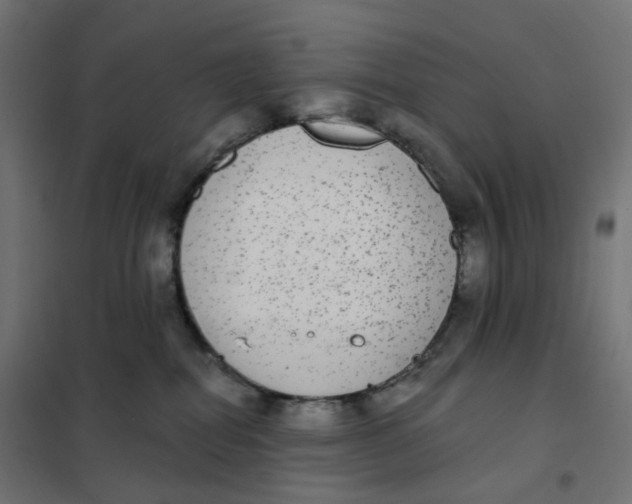 X0000102040282200808081842