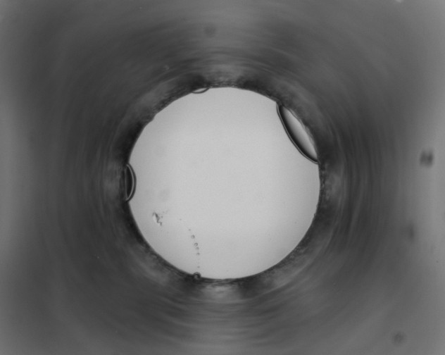 X0000102040283200808081842