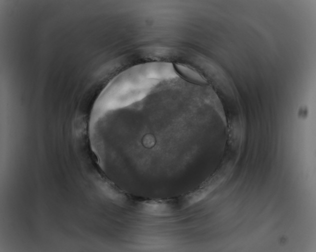 X0000102040284200808081842